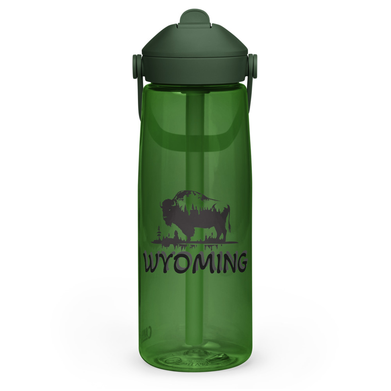 Flip straw water bottle