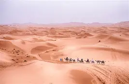 Luxury Desert Camp Experience