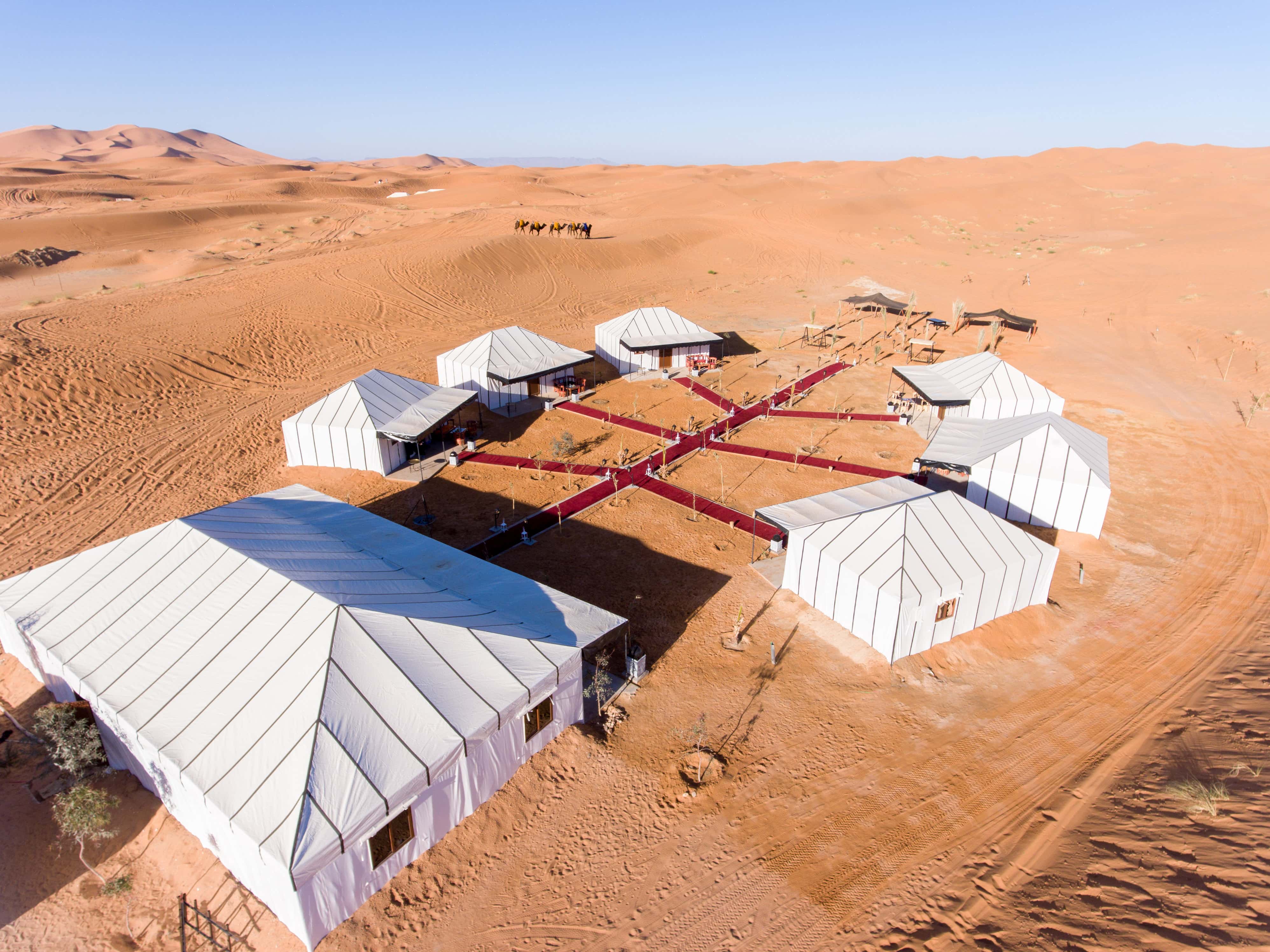 Luxury Desert Camp Experience
