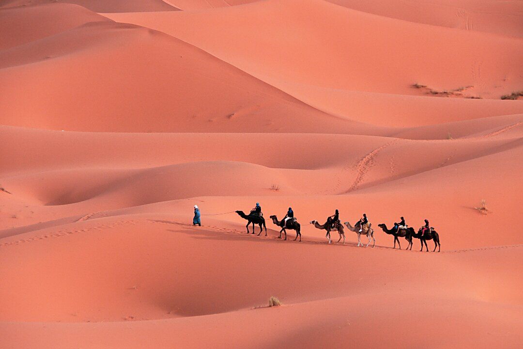 Luxury Desert Camp Experience