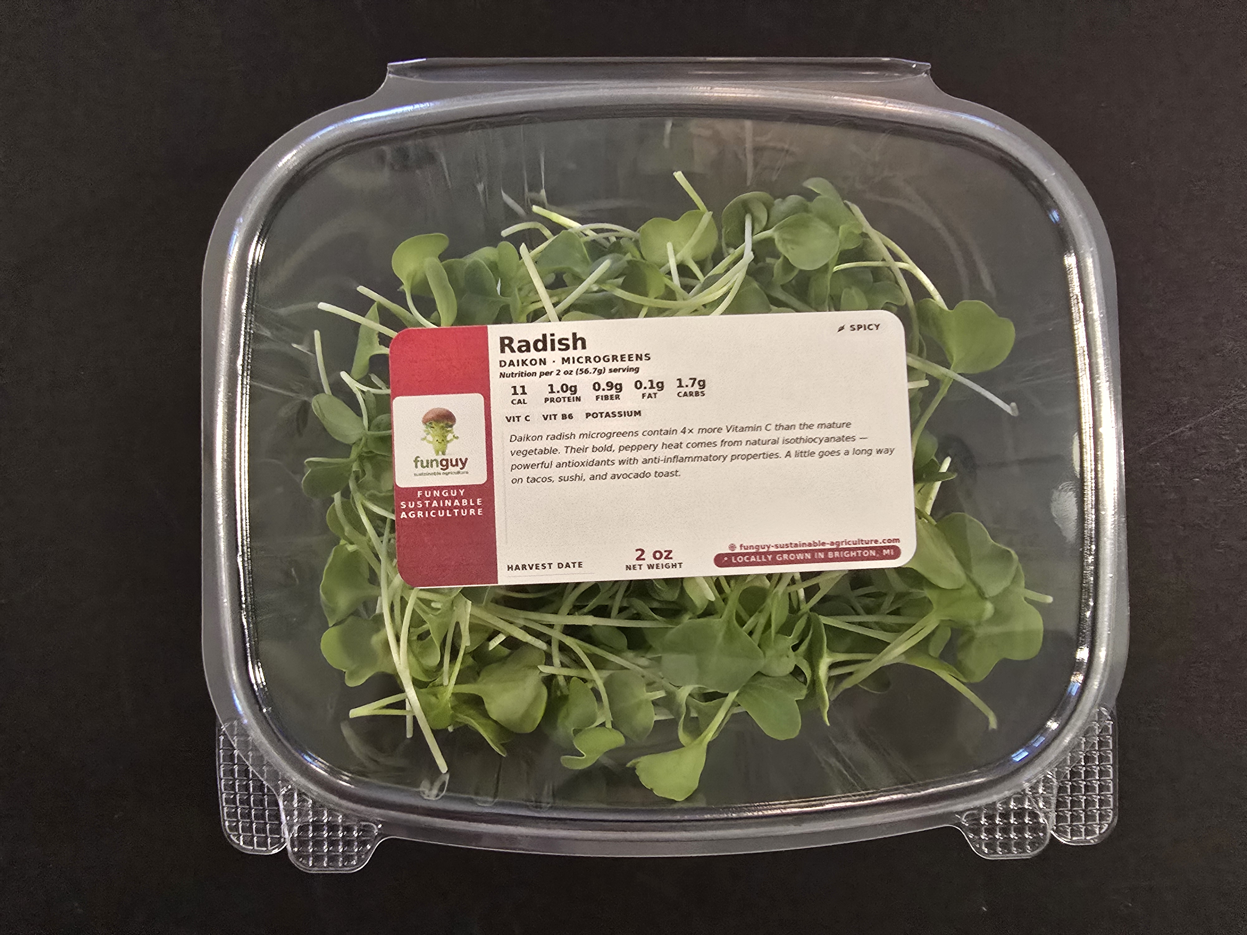 Radish (Daikon)
