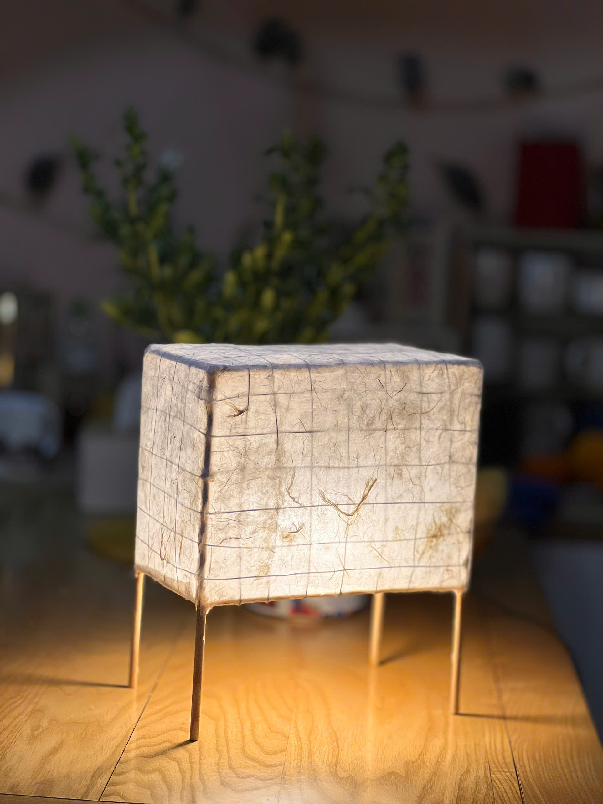 Đèn lồng giấy thủ công