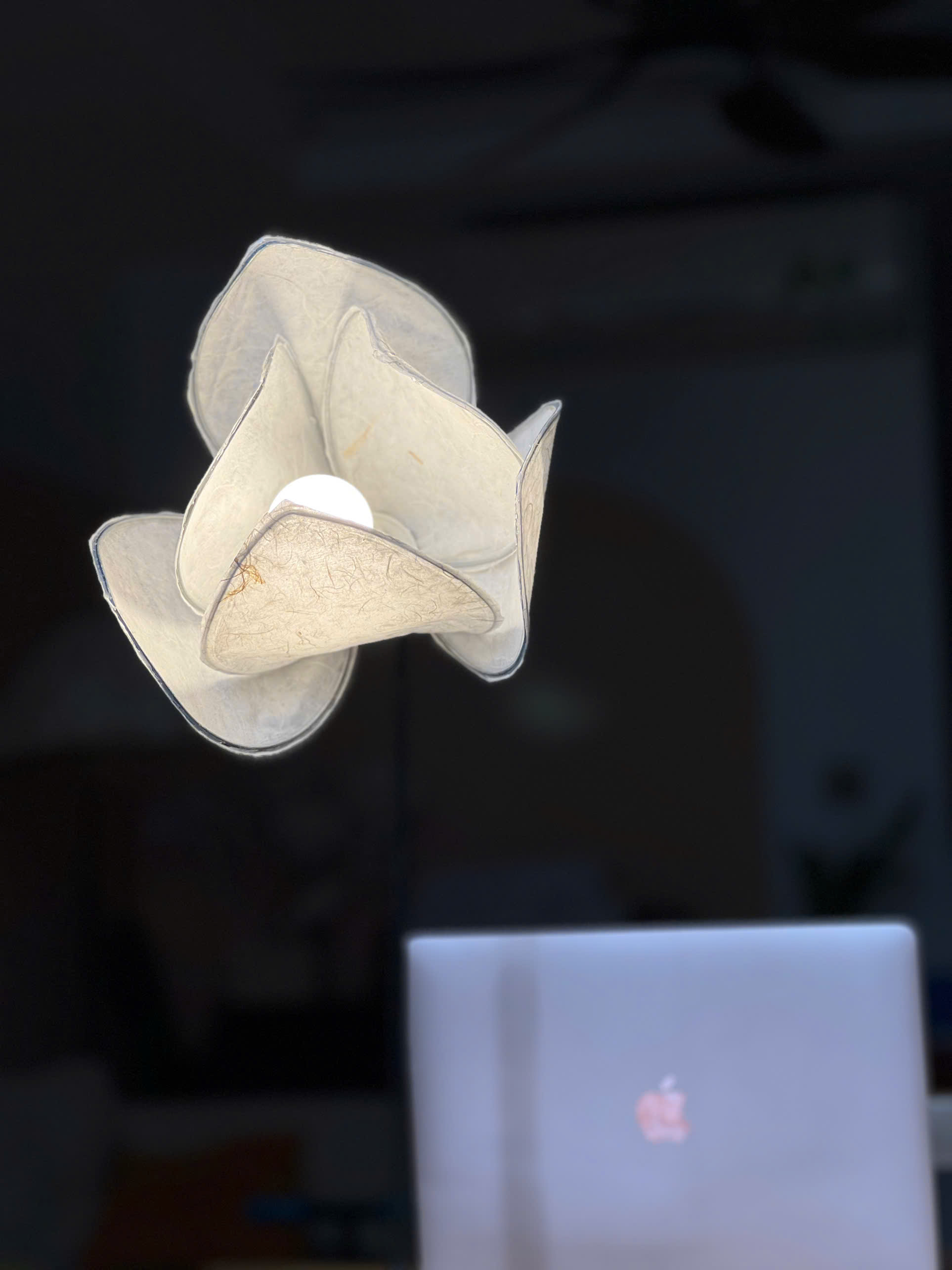 Đèn bàn hình cánh sen (đơn)