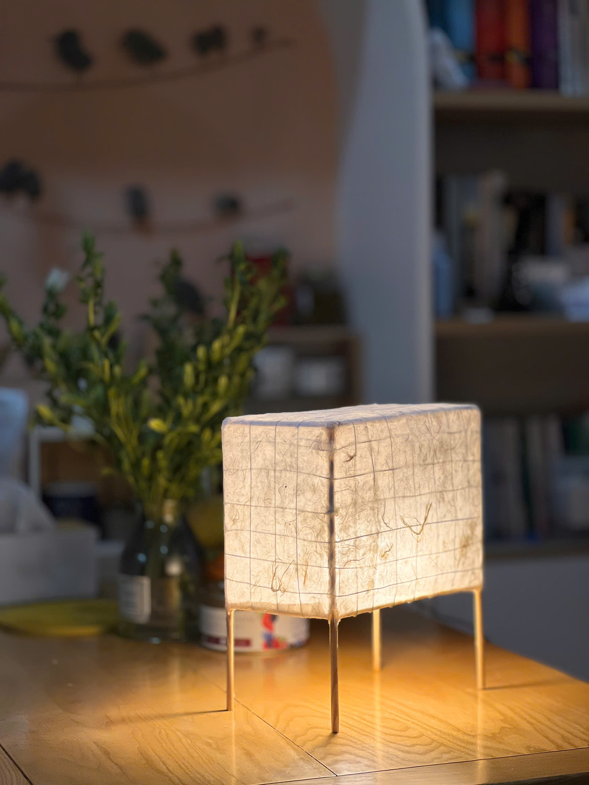 Đèn lồng giấy thủ công