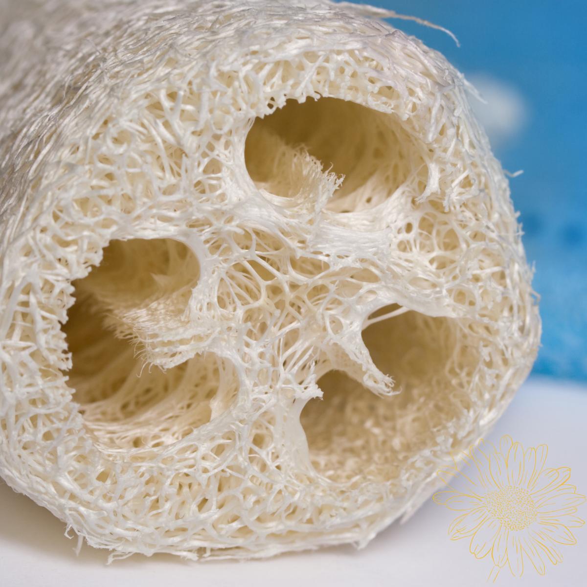 Natural Loofah Sponge on a Rope