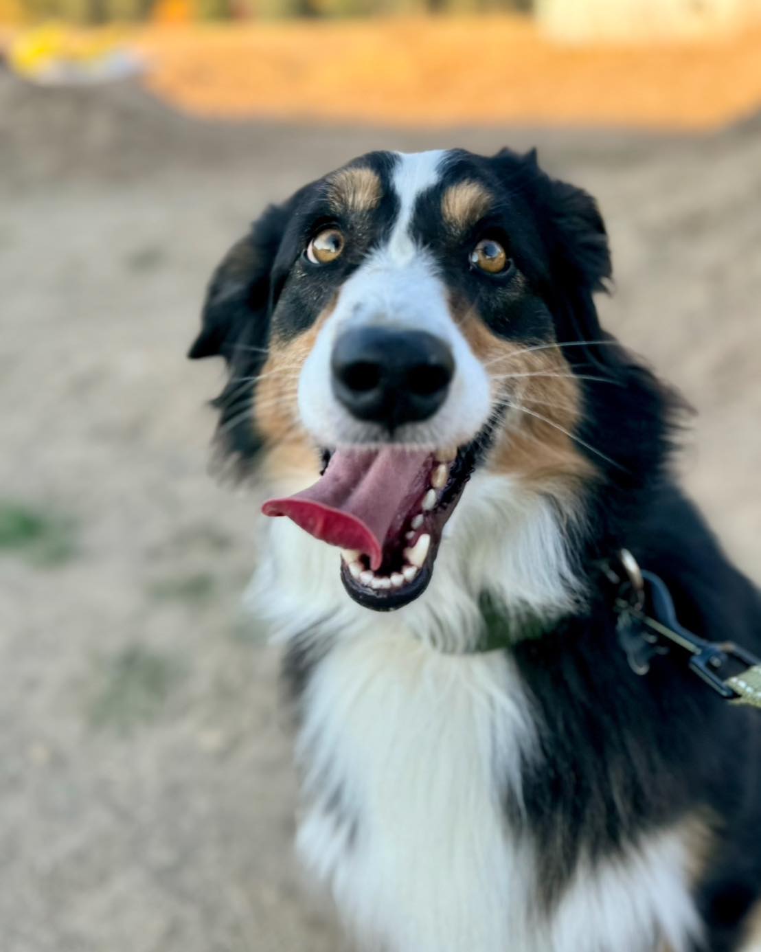 30 Minute Training Consultation