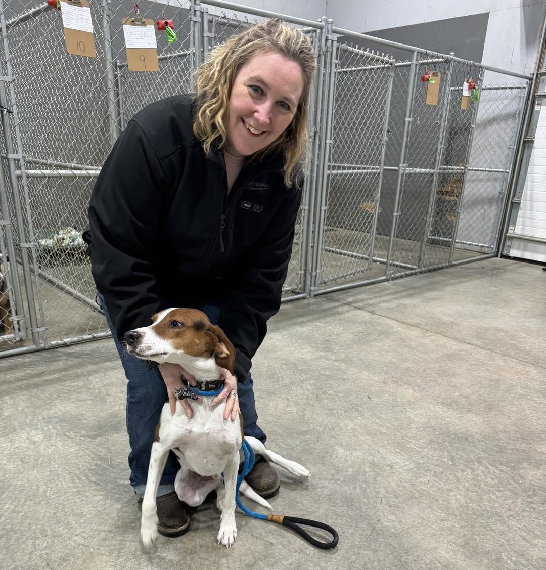 Board + Train Consultation