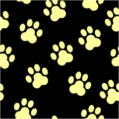 Art-C014