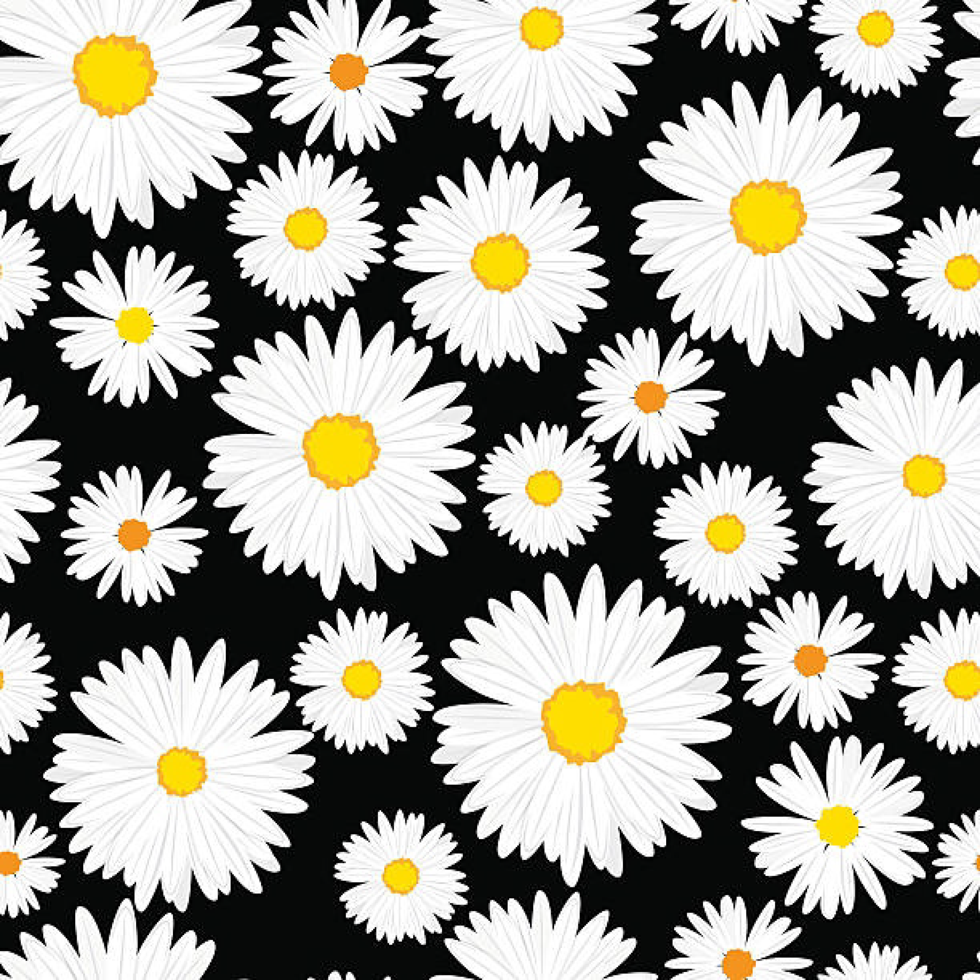 Art-R065