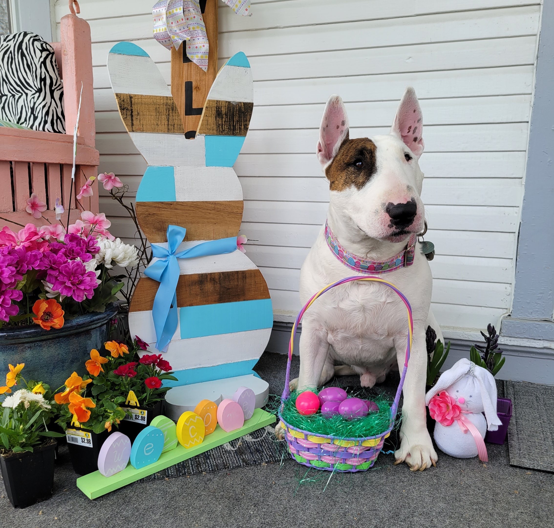 Easter Festivity Decor Set