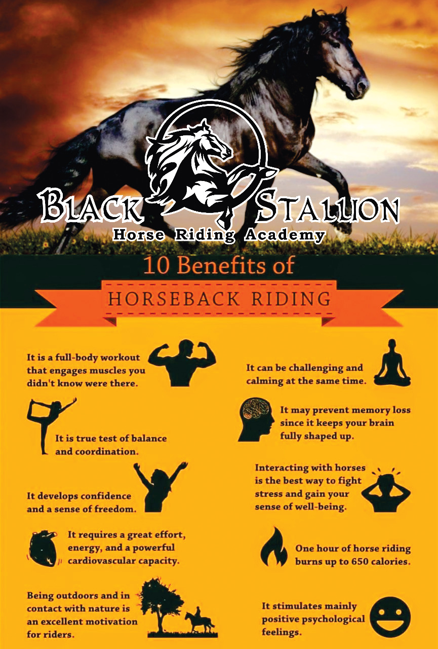 Horseback Riding Session Booking