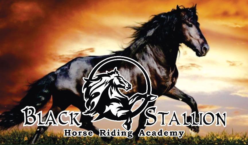 Horseback Riding Session Booking