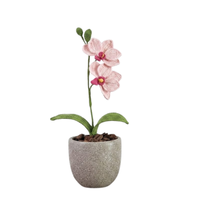 Orquídea tejida en maceta