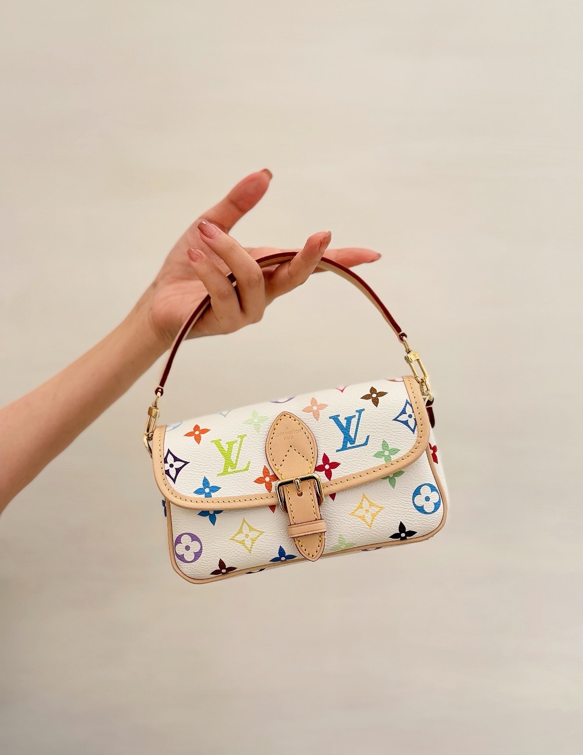 No.20-LV Multicolor Designer Mini Handbag