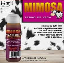 Mimosa Tesão de Vaca