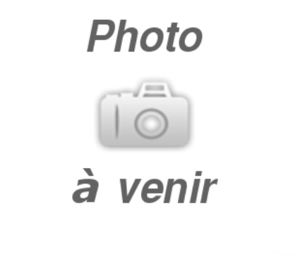 Thé aux perles classique PÊCHE