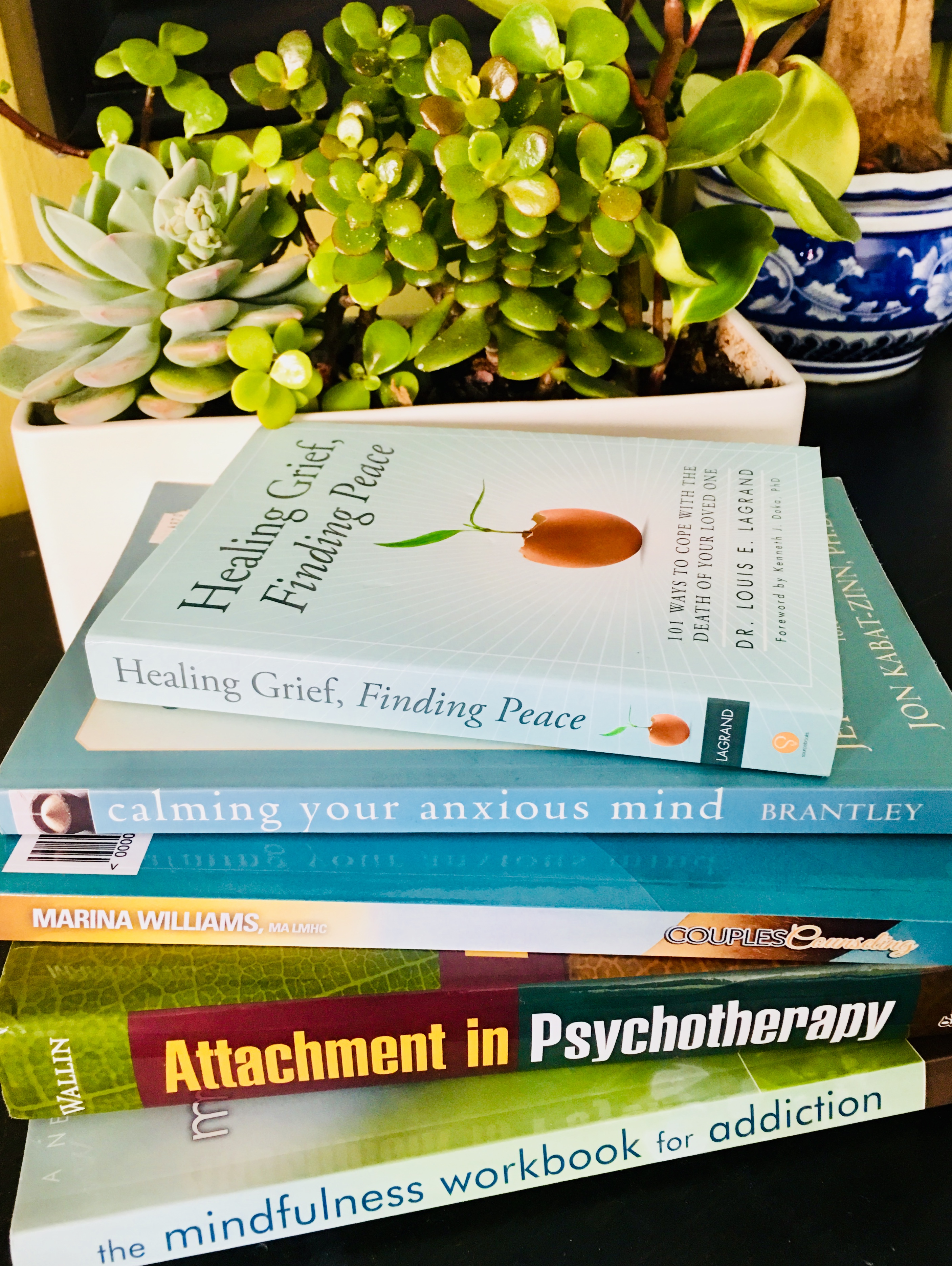 Book Your Individual session