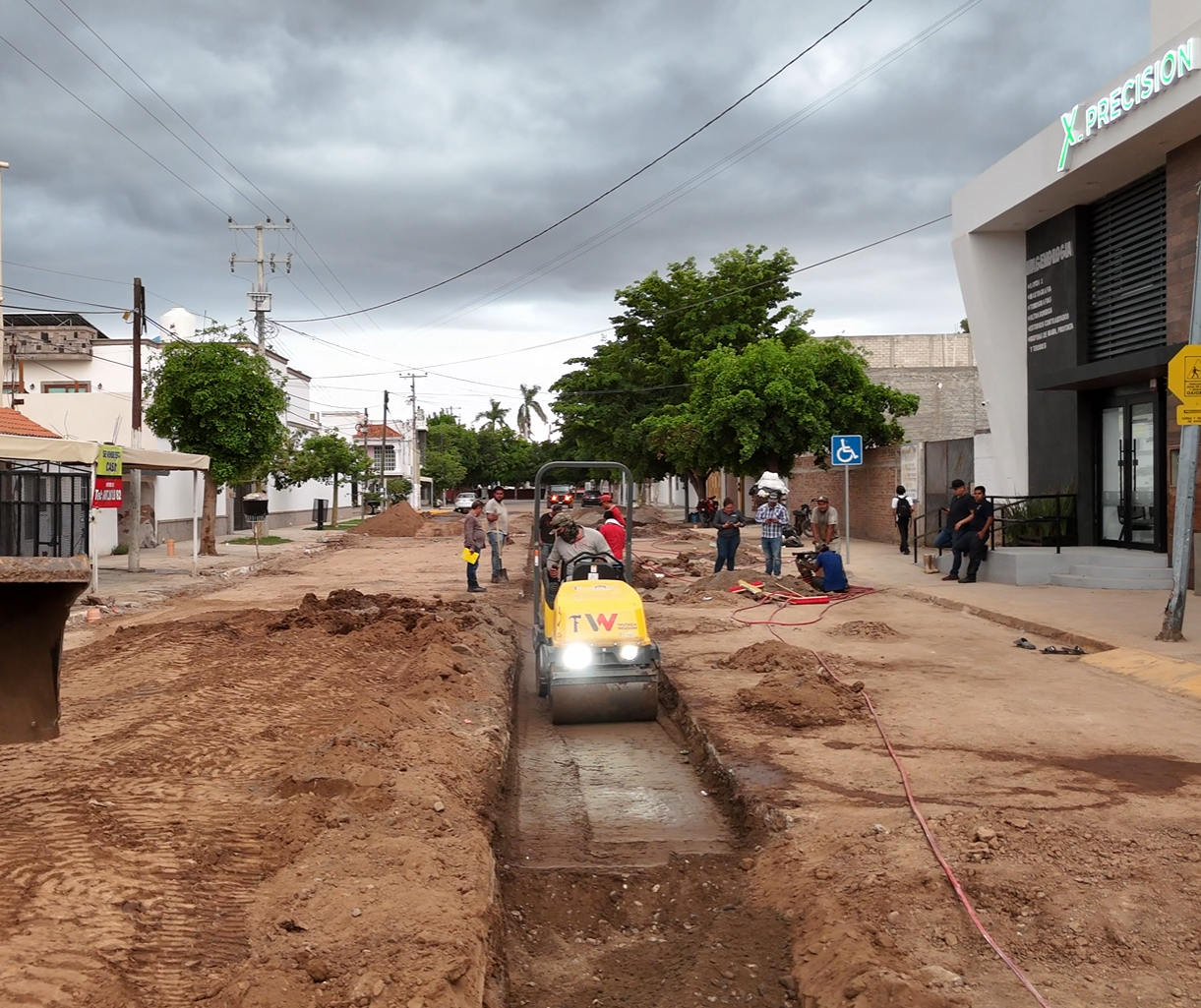 RODILLO COMPACTADOR