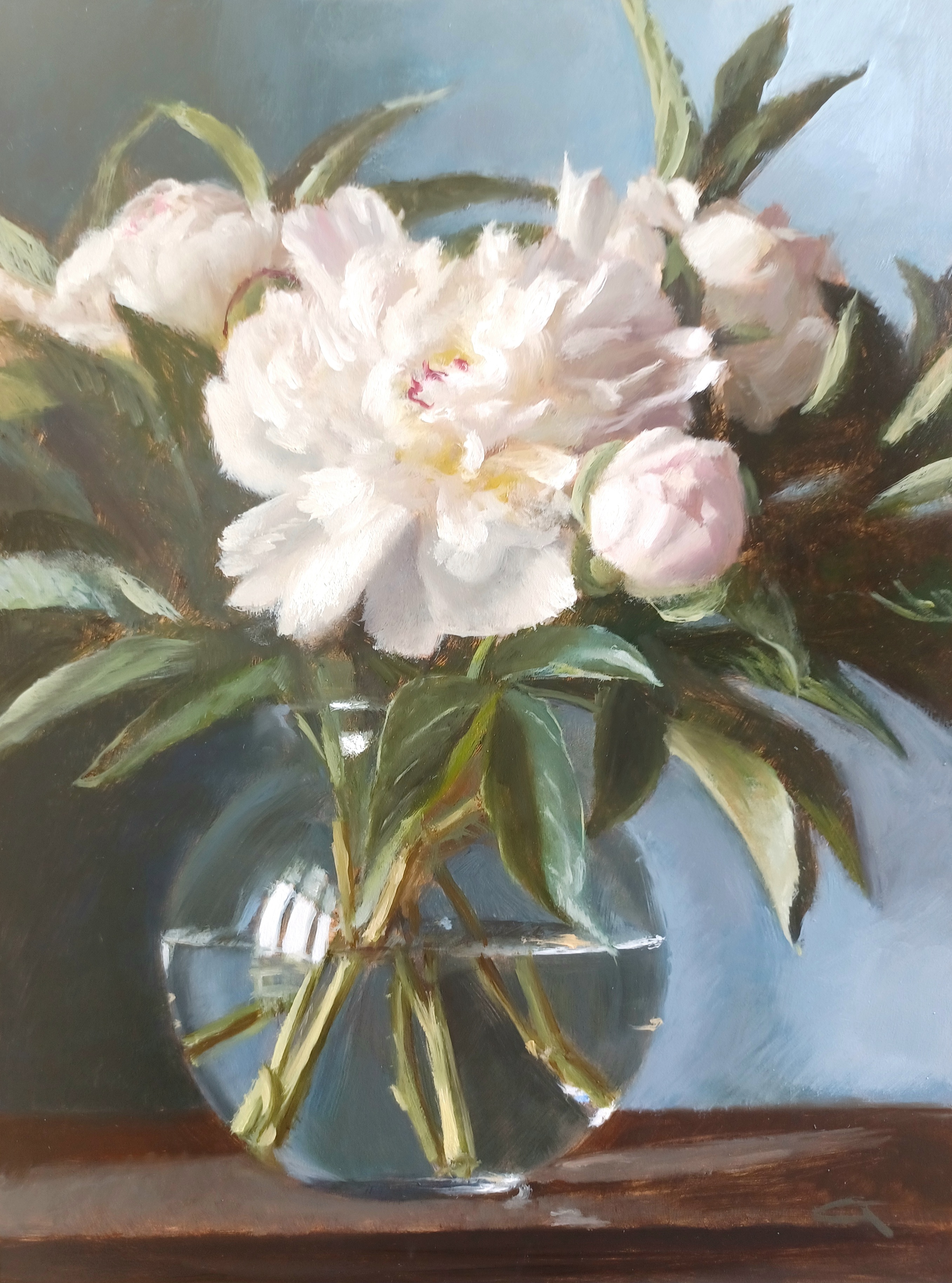 Peonies on Blue
