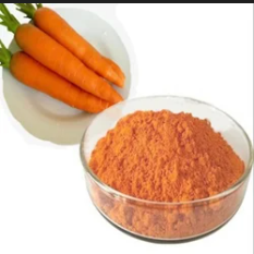 Gajar Extract (Daucus Carota)