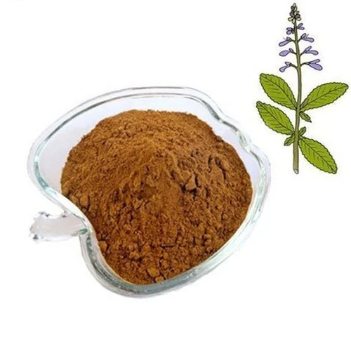 Coleus Forskohlii Extract (Coleus Forskohlii)