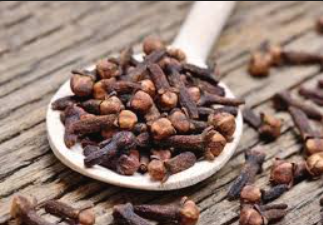 Lavang Extract (Syzygium Aromaticum)
