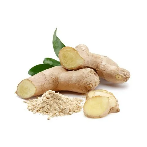 Ginger Extract (Zingiber Officinale)