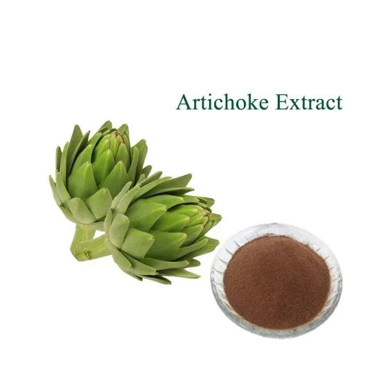 Artichoke Extract (Cynara Cardunculus)