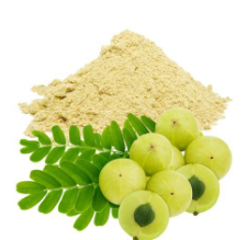 Amla Extract (Phyllanthus Emblica)
