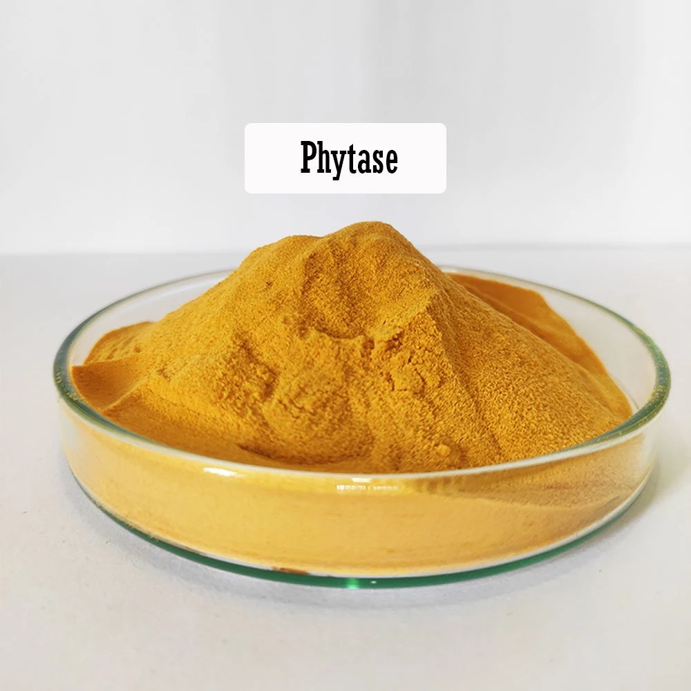 Phytase