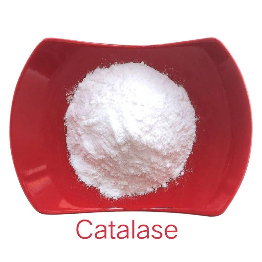 Catalase