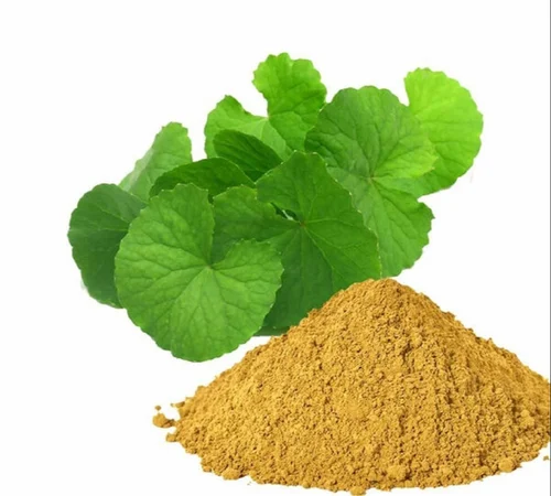 Bacopa Extract (Bacopa Monnieri)