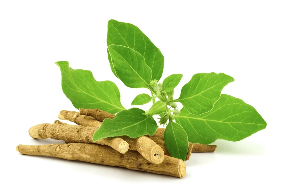 Ashwagandha (Withania somnifera)