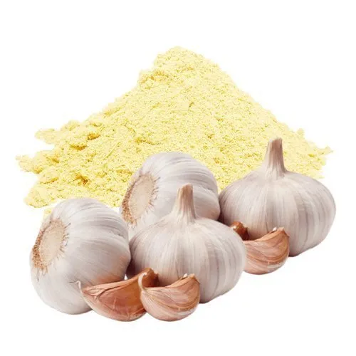 Garlic Extract (Allium Sativum)
