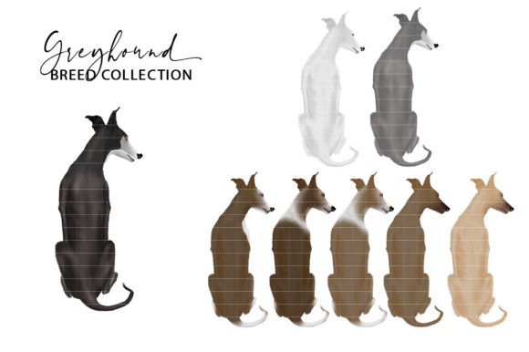 Greyhound Dog Clipart Set