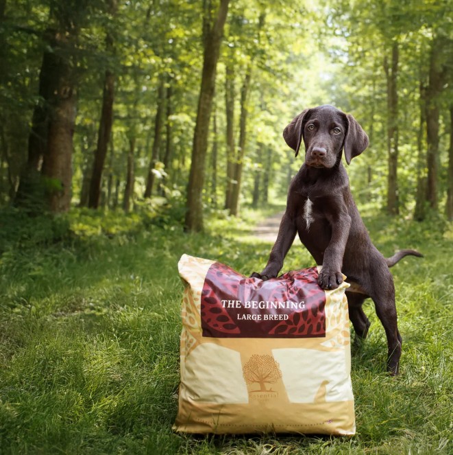 THE BEGINNING LARGE BREED, 10KG