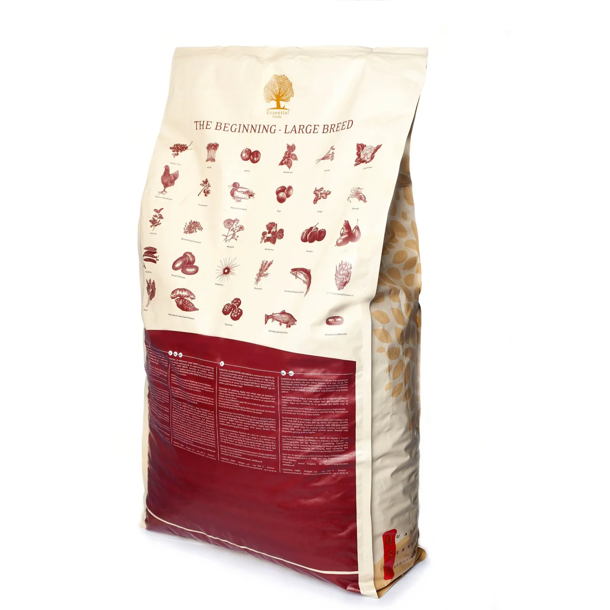THE BEGINNING LARGE BREED, 10KG