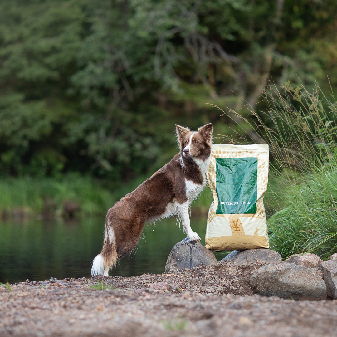 SUPERIOR LIVING, 10KG