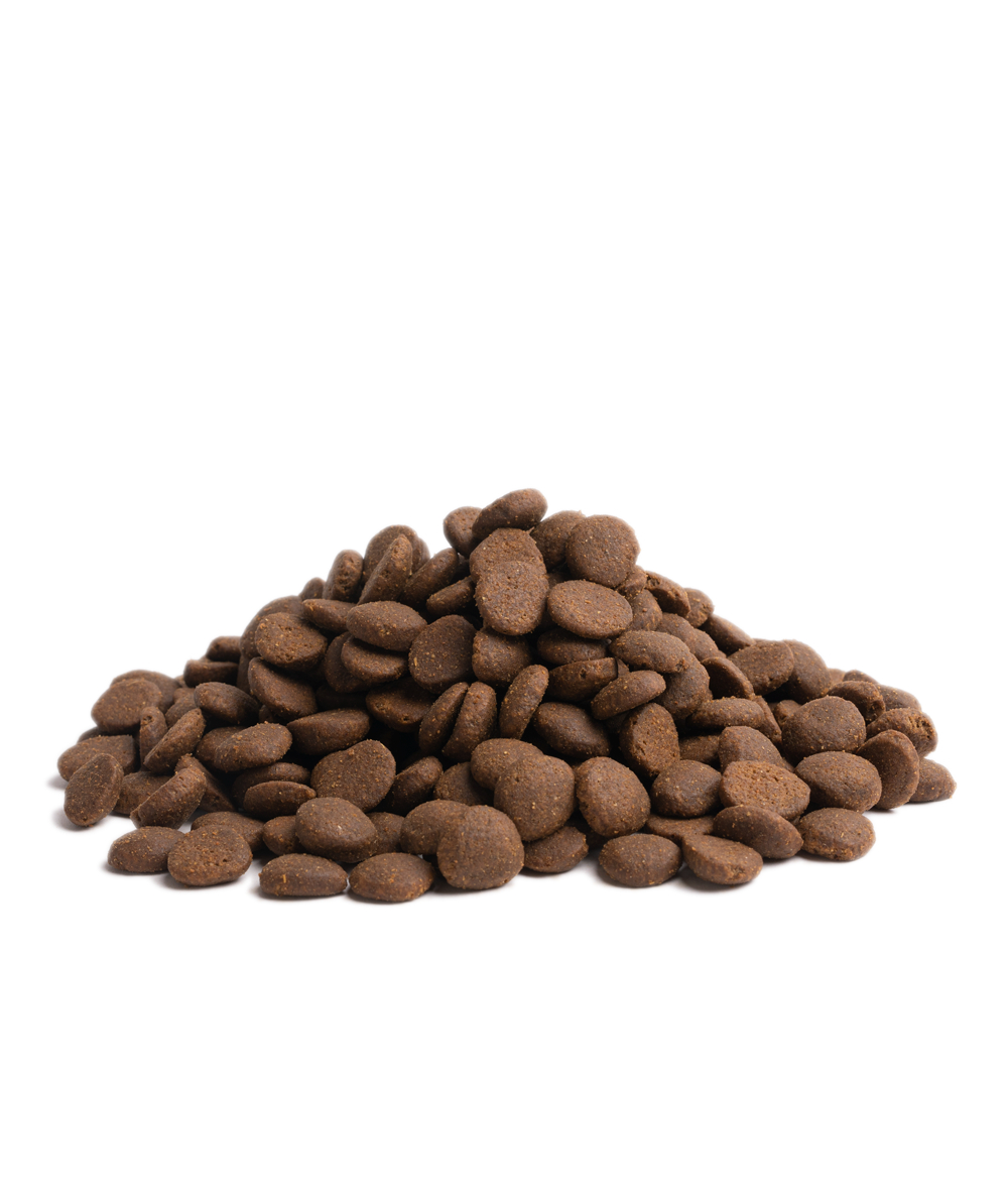 STAMINA, 10KG energijai ir fiziniui aktyvumui