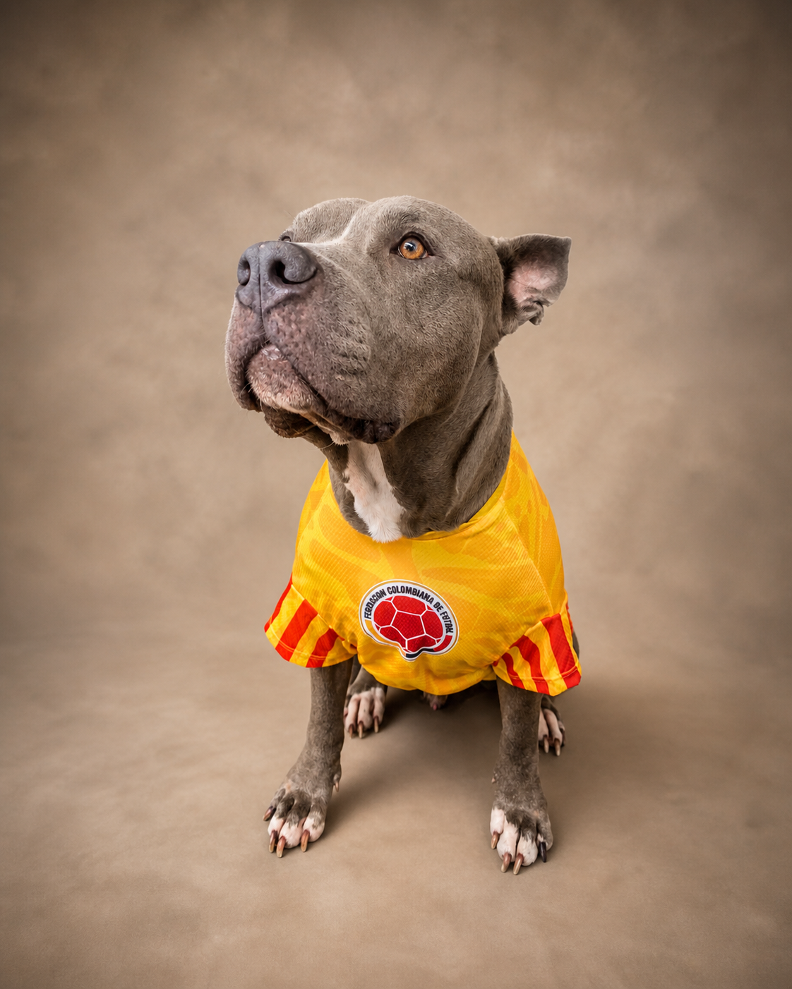 Camiseta Selección Colombia Mascota