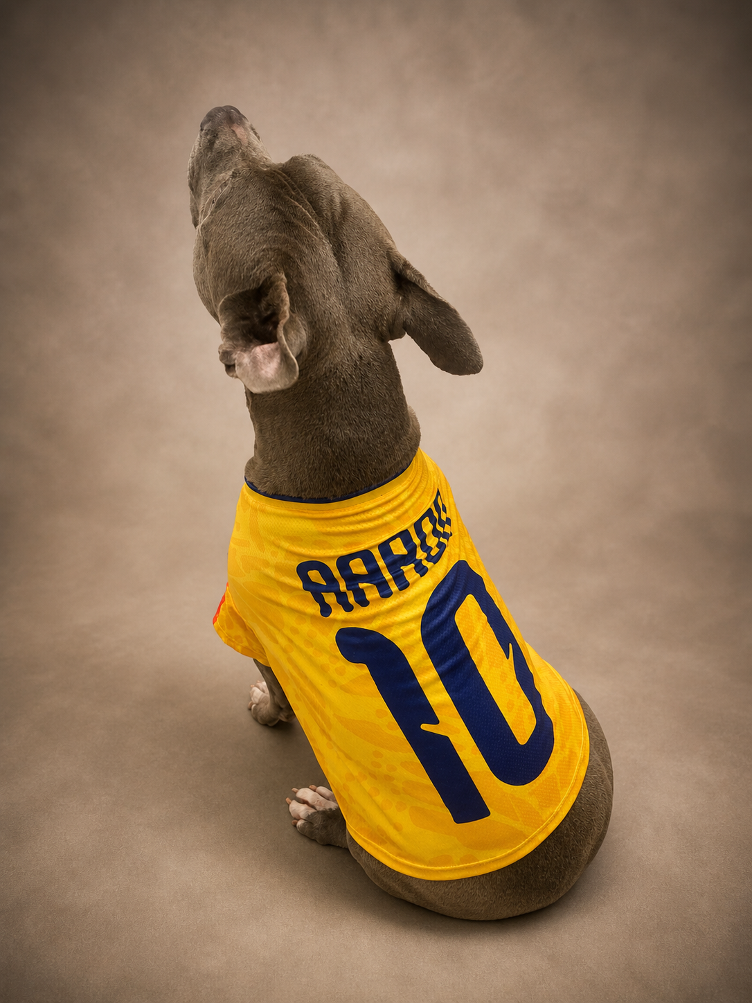 Camiseta Selección Colombia Mascota
