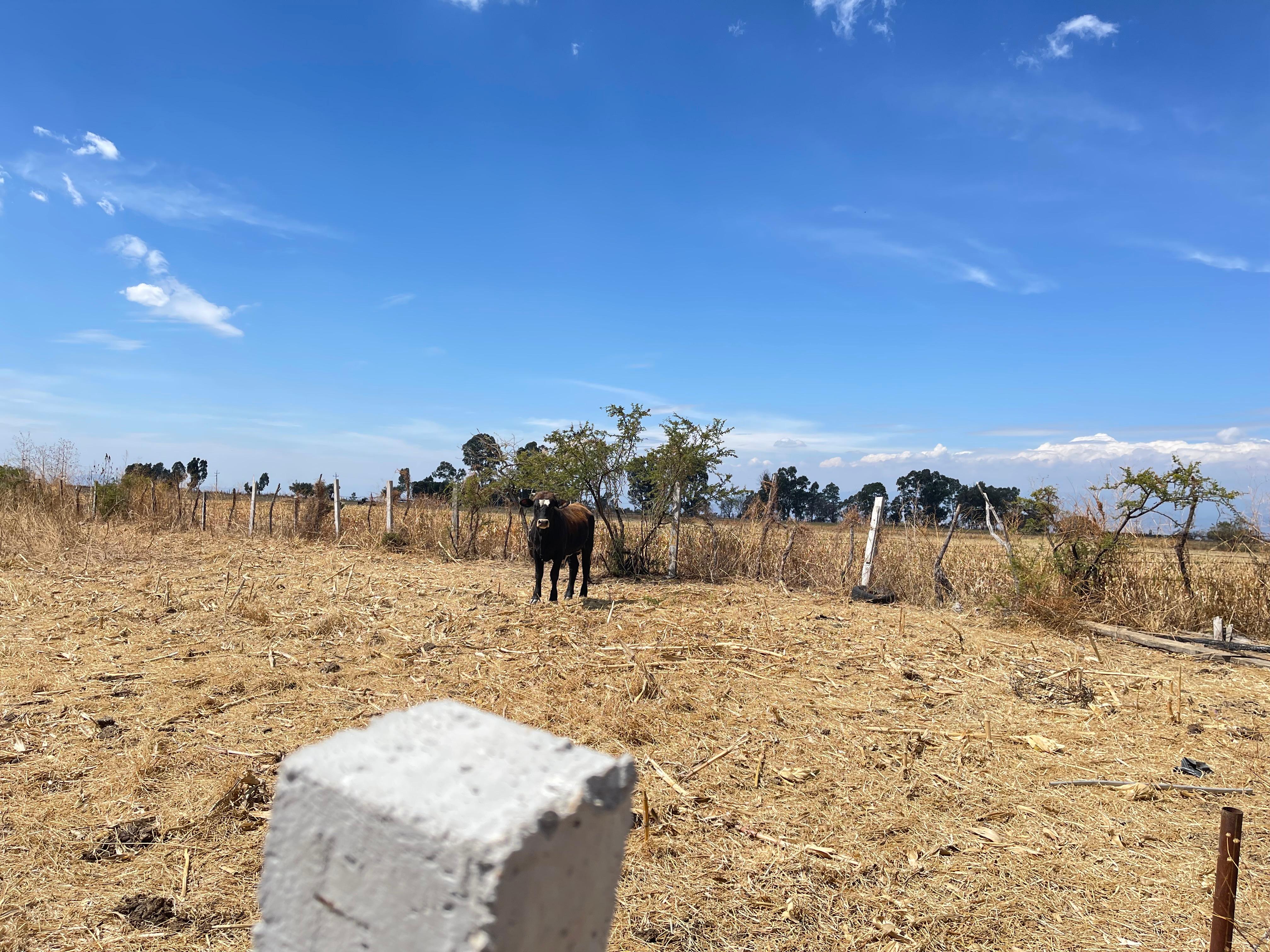 Rancho Buena Aventura - Auto Sustentable