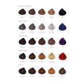 Tinte Italy Color 60ml