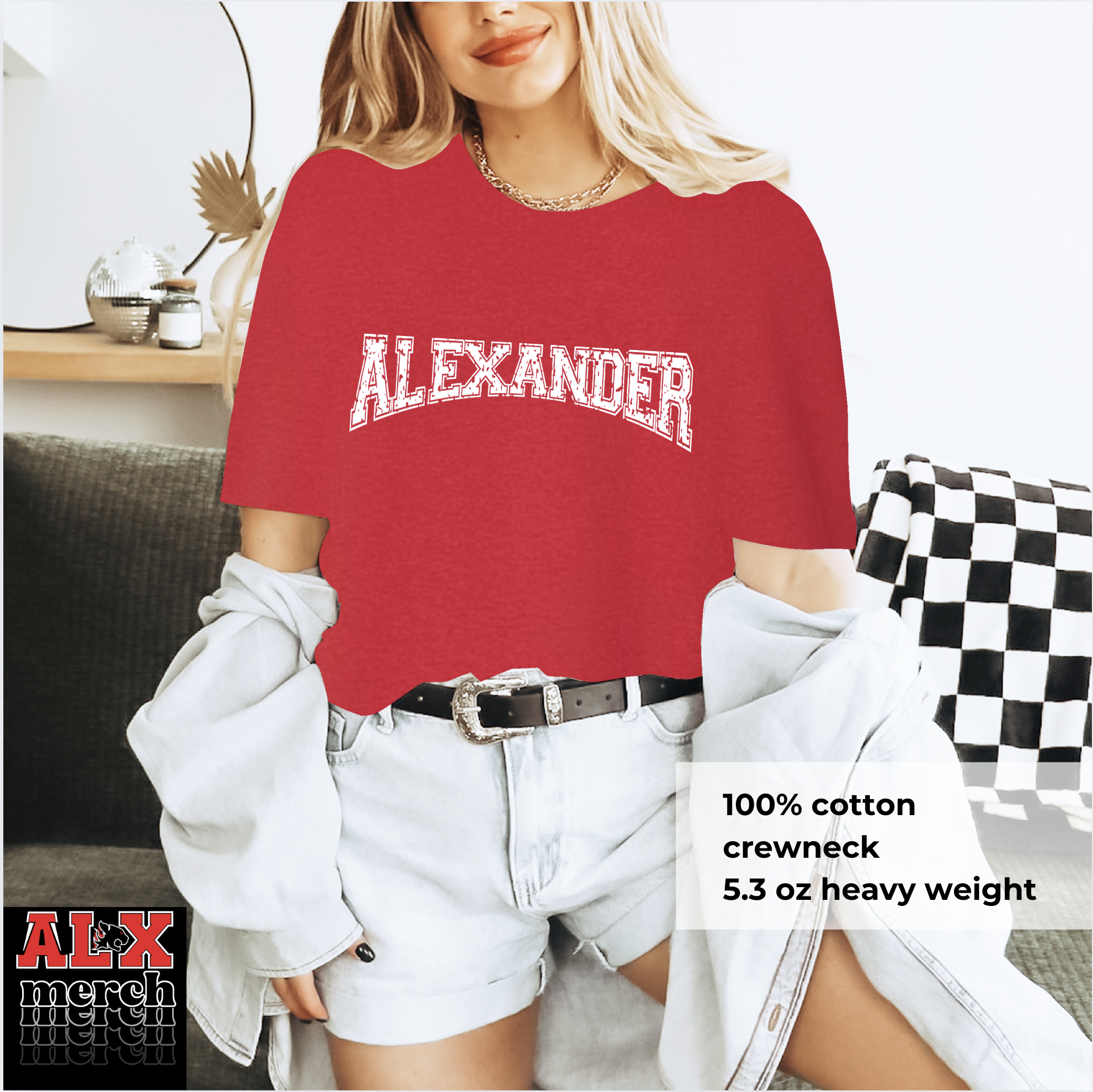 Alexander arc distressed tee