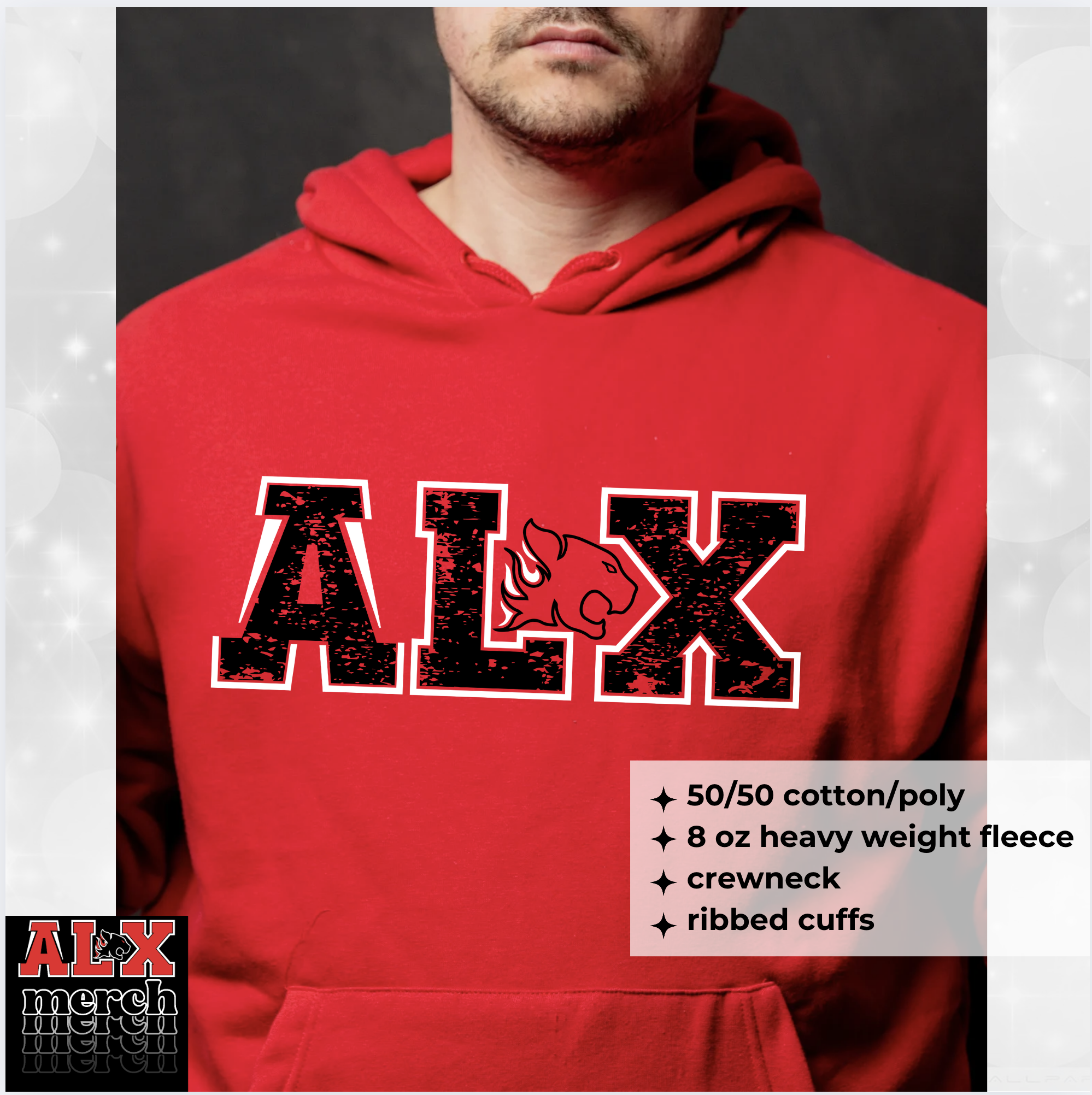 ALX duo logo hoodie