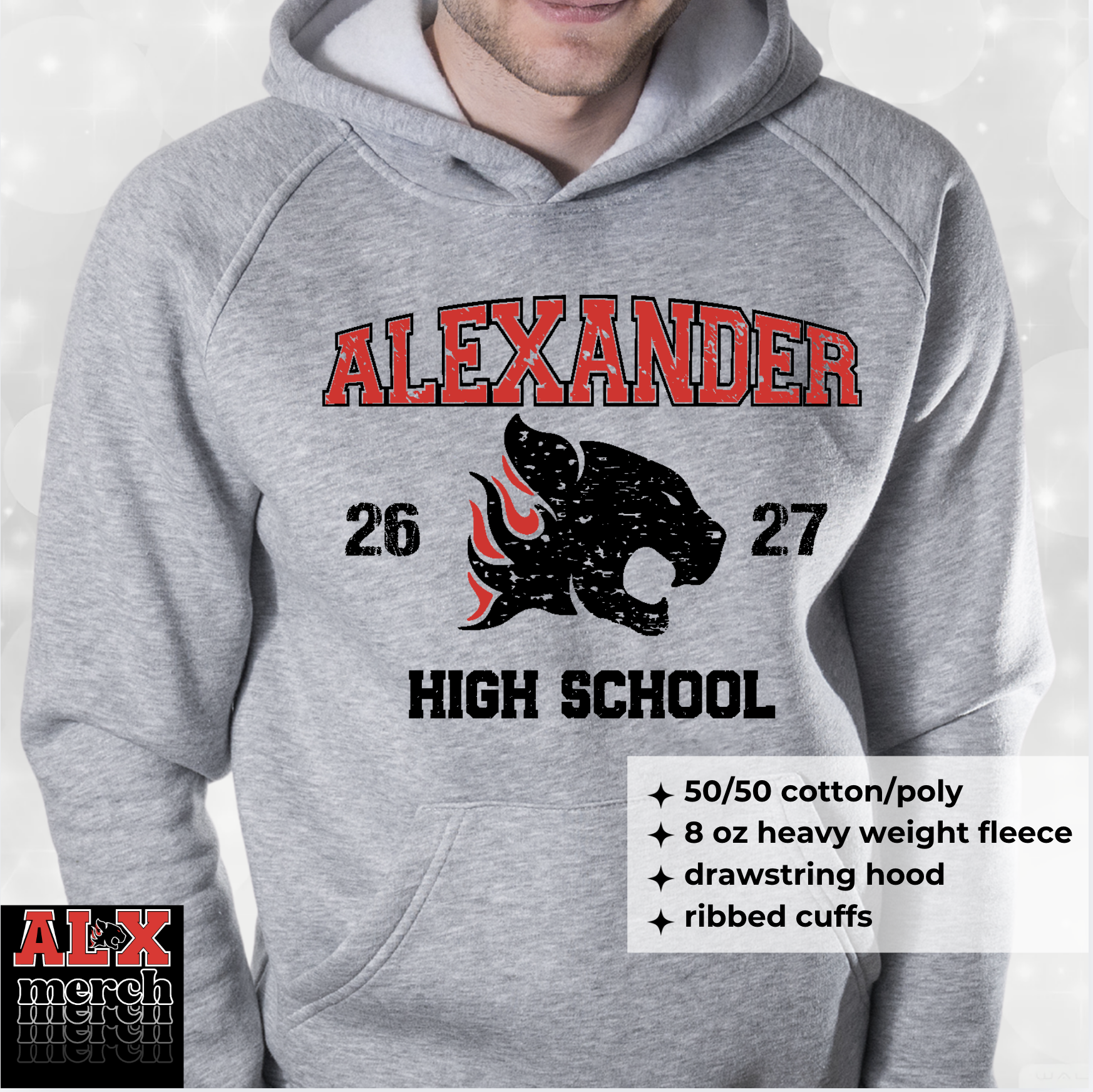 AHS distressed hoodie