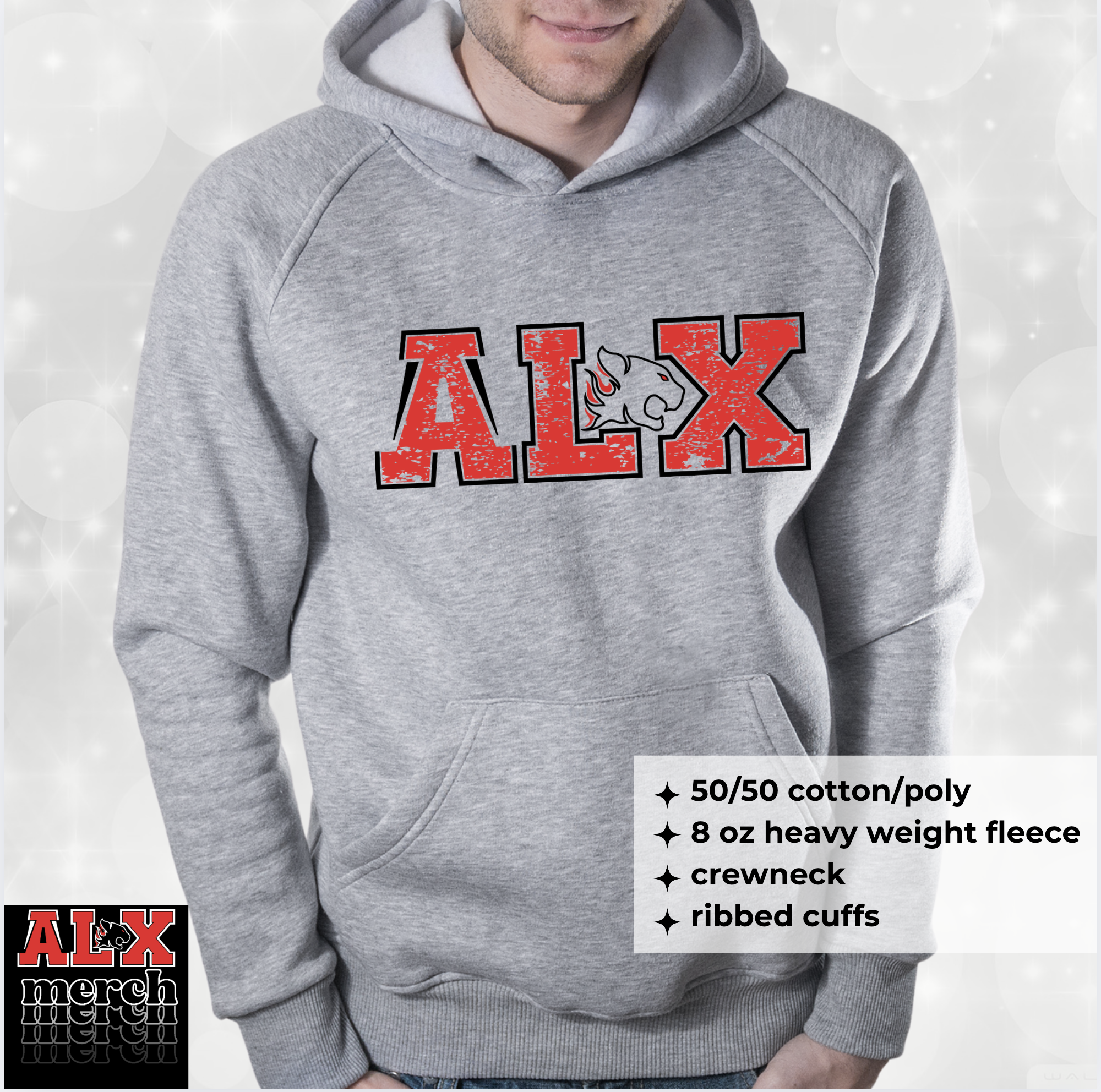 ALX duo logo hoodie
