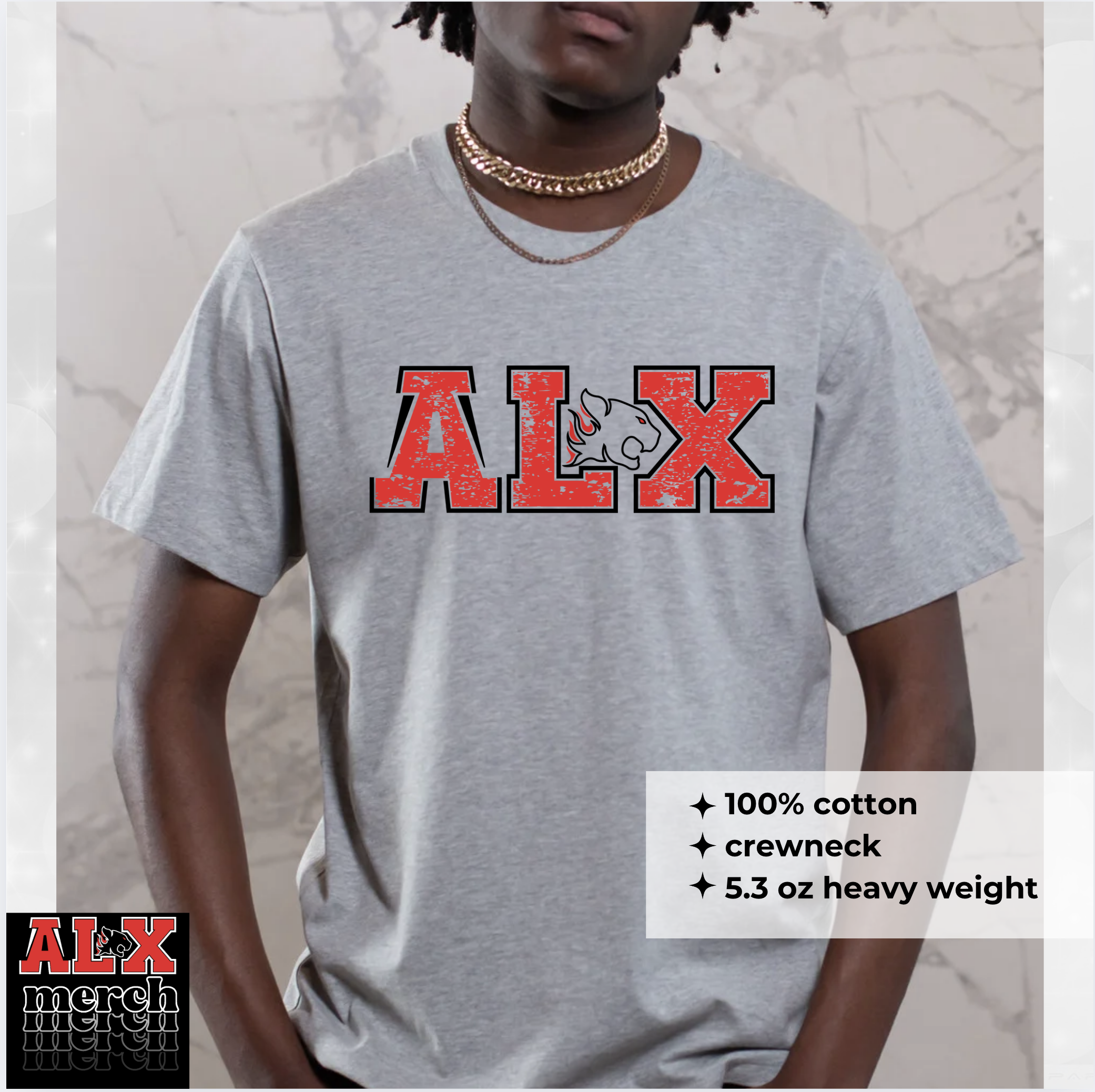 ALX duo distressed logo tee