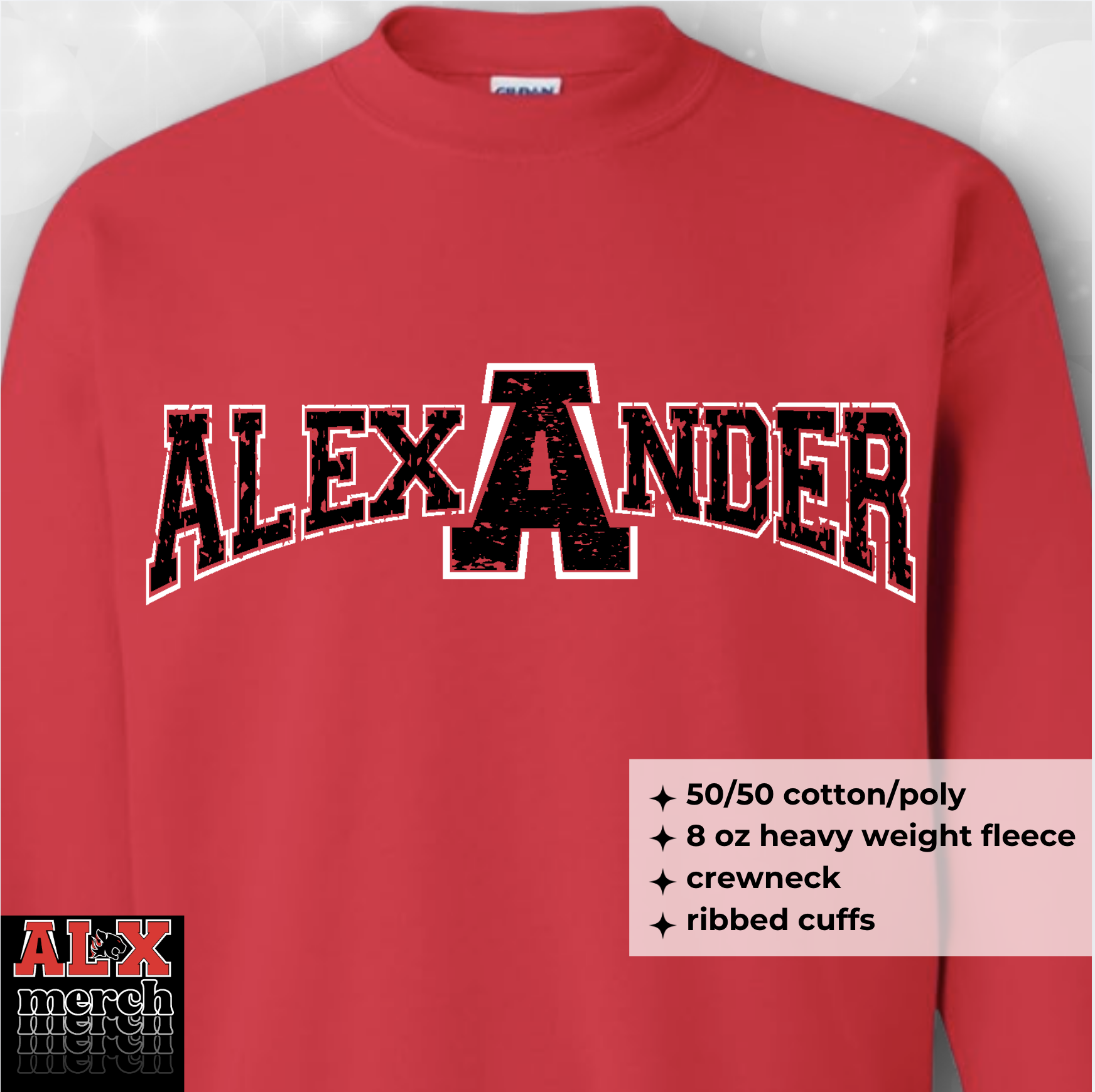 Alex-A-nder A logo sweatshirt
