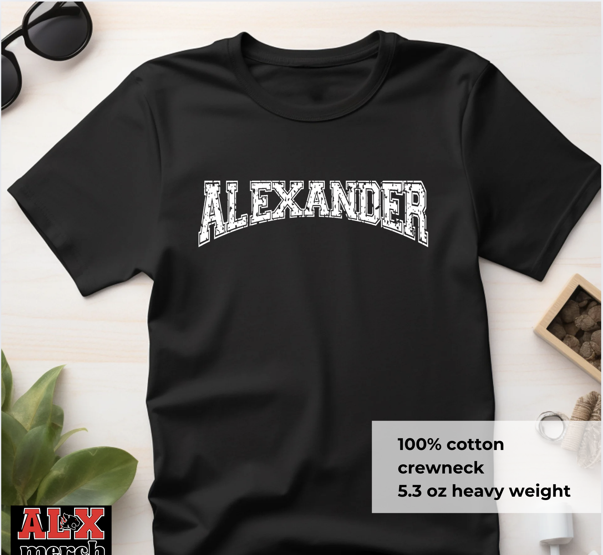 Alexander arc distressed tee